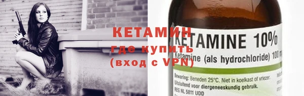 индика Гусь-Хрустальный