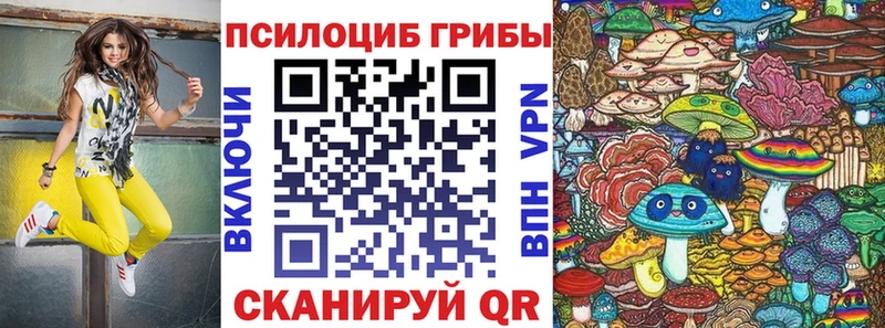 Псилоцибиновые грибы прущие грибы  как найти закладки  Александров 